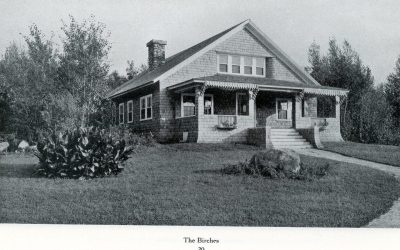 The Birches